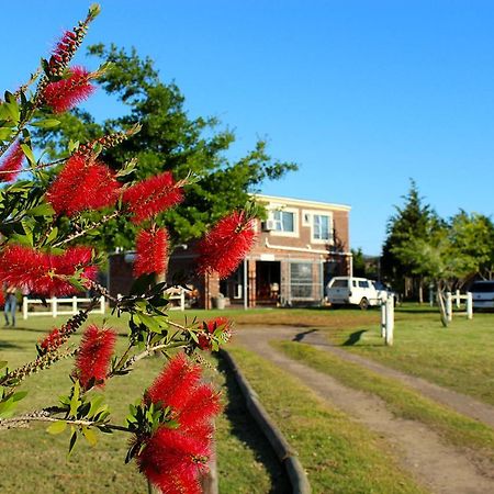 African Adventures Accommodation เดอร์บันวิลล์ ภายนอก รูปภาพ