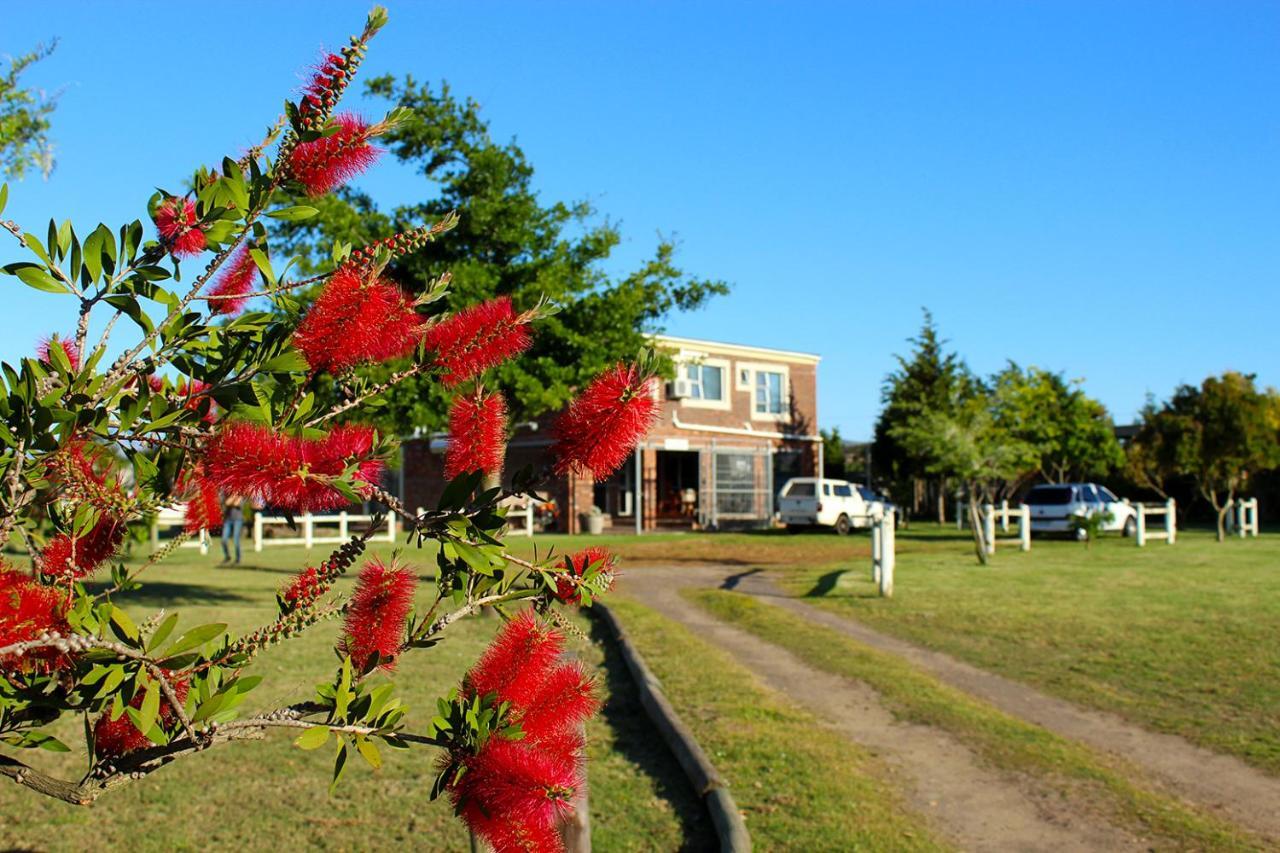 African Adventures Accommodation เดอร์บันวิลล์ ภายนอก รูปภาพ