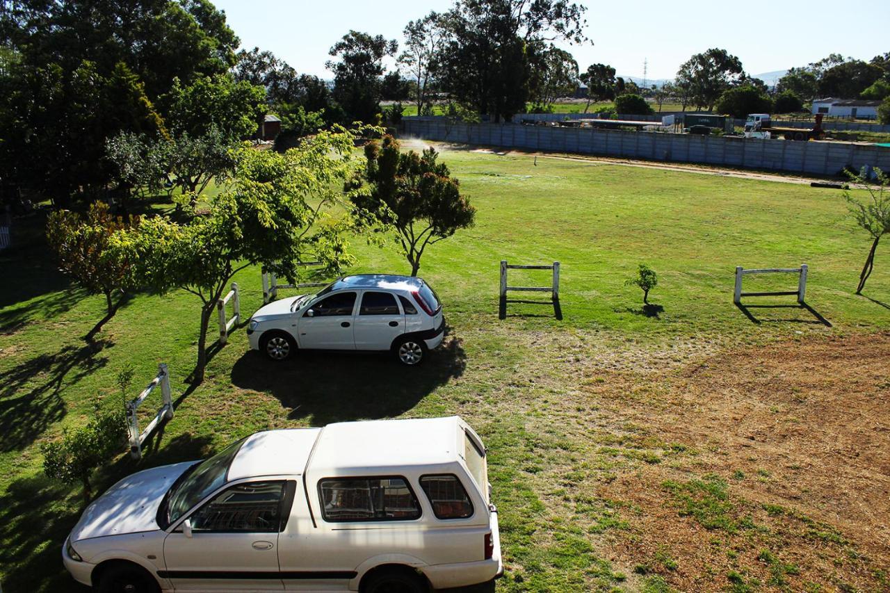 African Adventures Accommodation เดอร์บันวิลล์ ภายนอก รูปภาพ